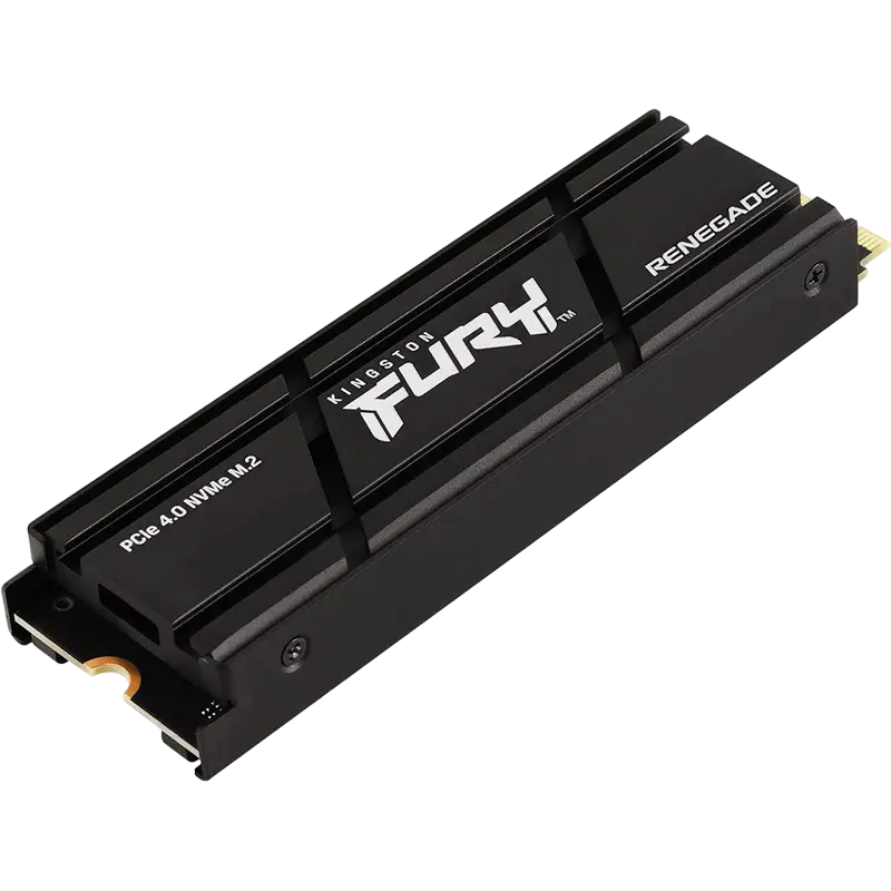 Kingston FURY Renegade 1 TB