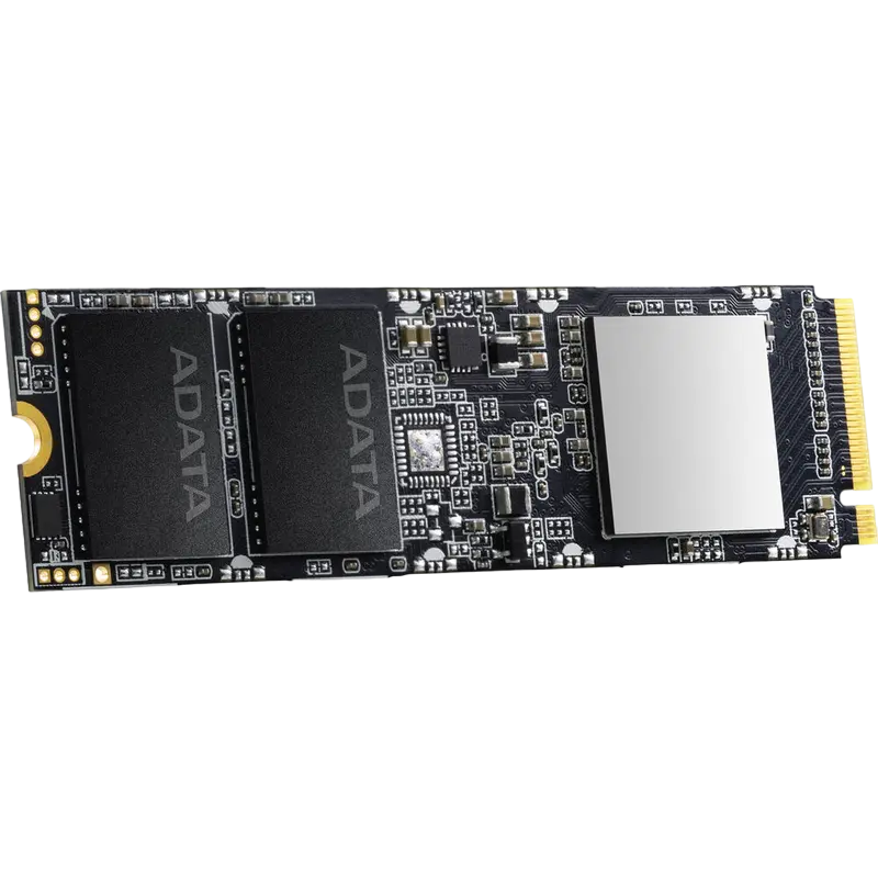 ADATA XPG SX8100 256 GB