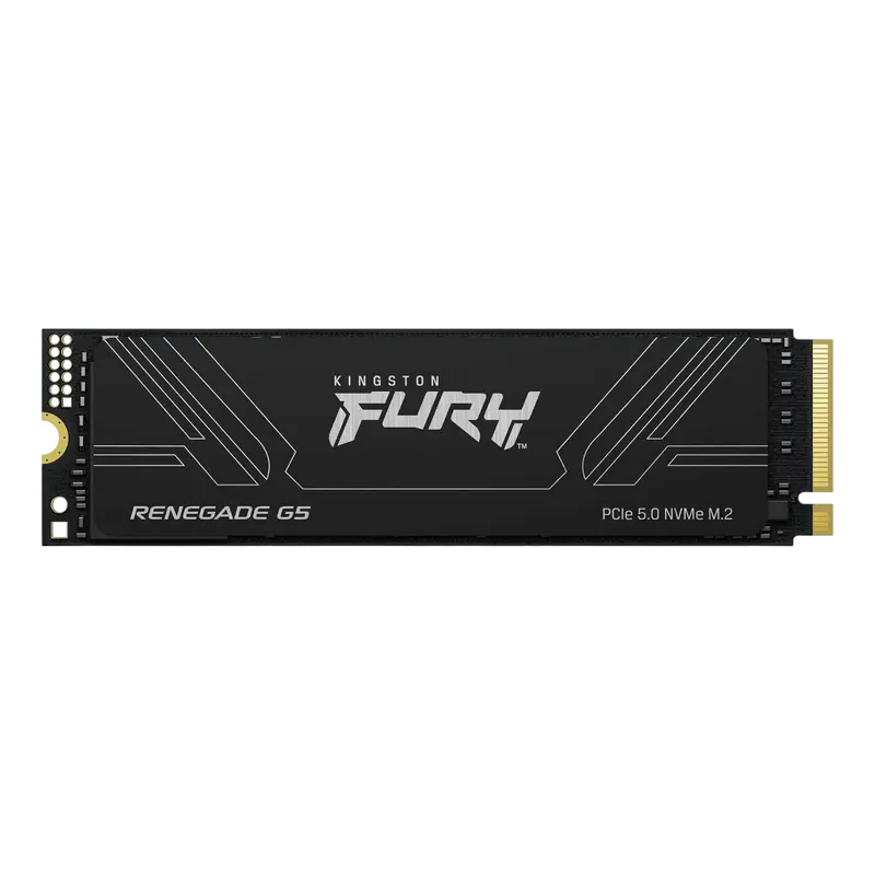Kingston FURY Renegade G5 1 TB